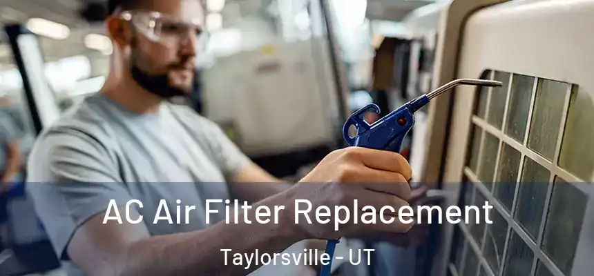 AC Air Filter Replacement Taylorsville - UT