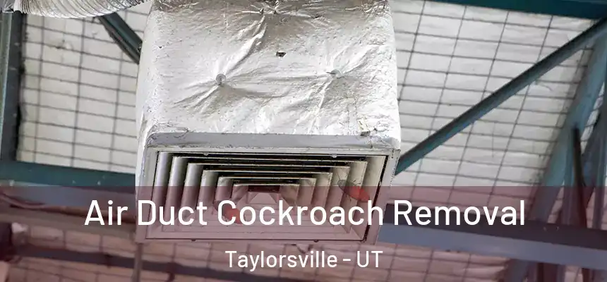 Air Duct Cockroach Removal Taylorsville - UT