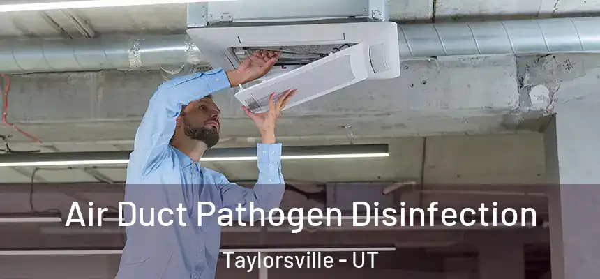  Air Duct Pathogen Disinfection Taylorsville - UT