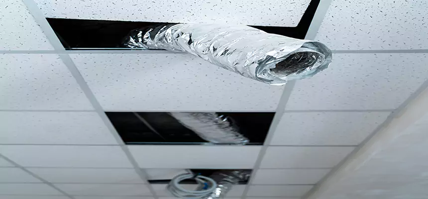 Our Air Duct Pet Hair Removal Services in Taylorsville, UT