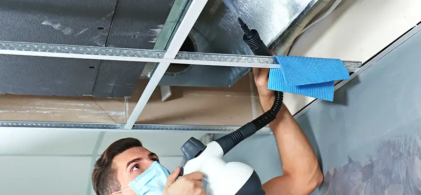 Our Air Duct Rodent Removal Services in Taylorsville, UT