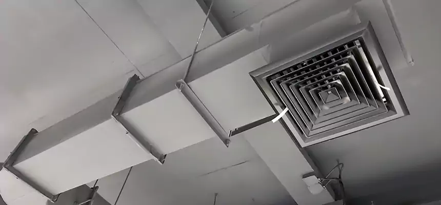 Our Pest Removal From Ducts Services in Taylorsville, UT