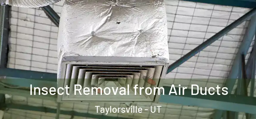  Insect Removal from Air Ducts Taylorsville - UT