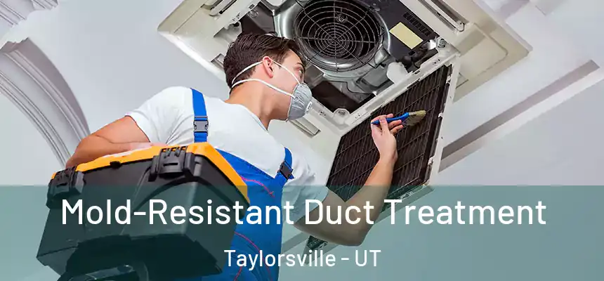  Mold-Resistant Duct Treatment Taylorsville - UT