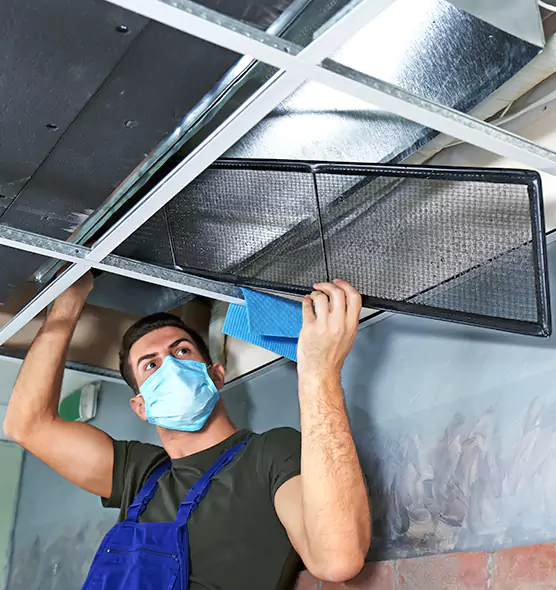 About Air Duct Bacteria Removal in Taylorsville