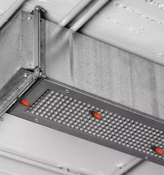 About Air Duct Cockroach Removal in Taylorsville, UT