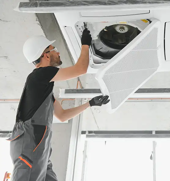 About Air Duct Rodent Removal in Taylorsville, UT