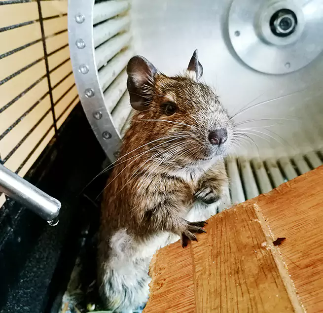 Why Homeowners & Businesses Trust Us Taylorsville, UT