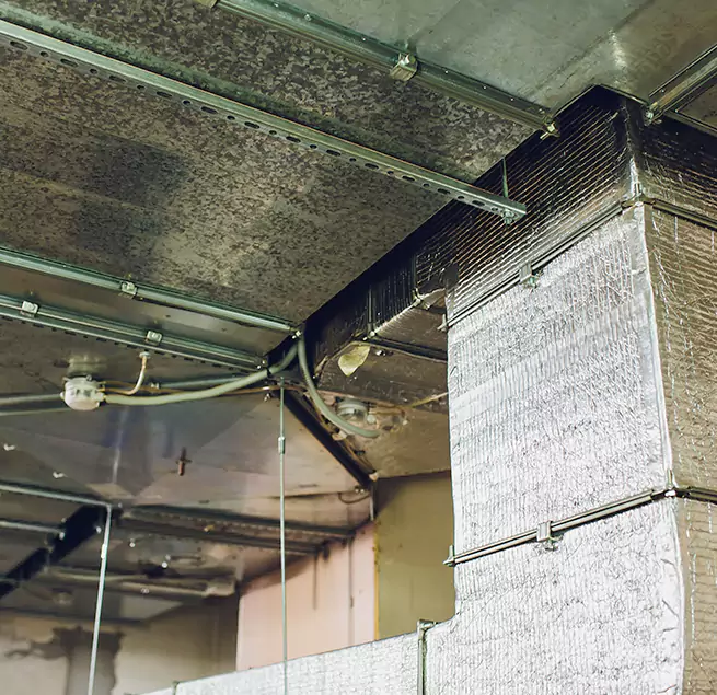 Why Homeowners & Businesses Trust Us in Taylorsville, UT?